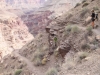 Grand Canyon MD2014 (1072)-1280