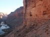 Grand Canyon MD2014 (405)-1280