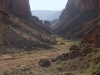 Grand Canyon MD2014 (424)-1280